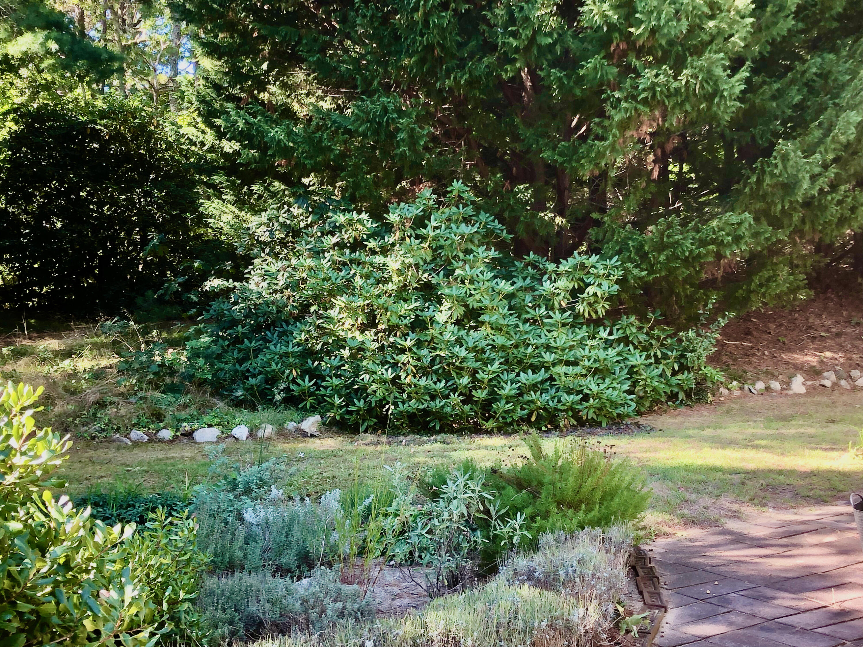 171 Monument Road Orleans, MA 02653 - Photo 40 of 47 a view of a garden with a tree