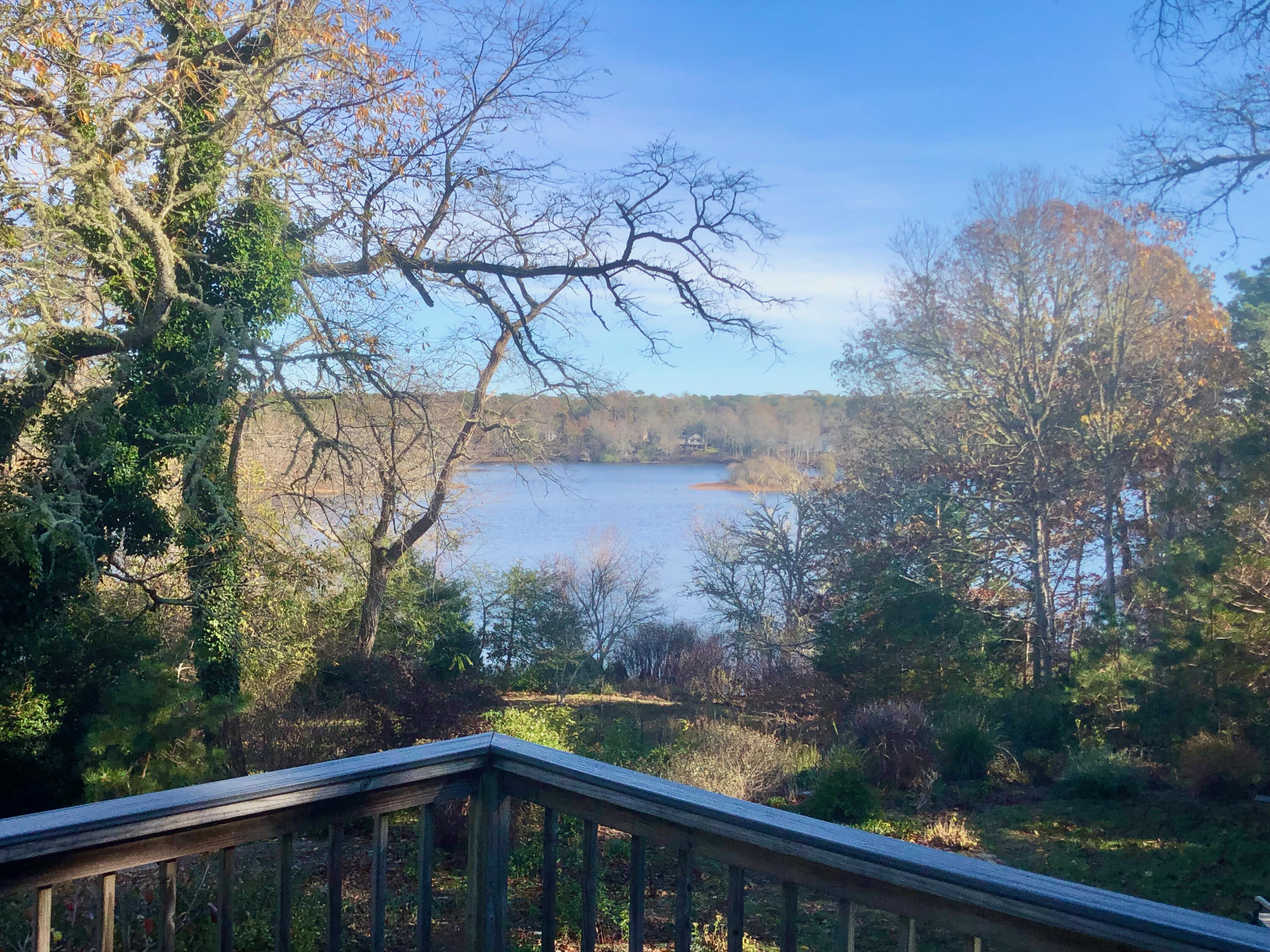 171 Monument Road Orleans, MA 02653 - Photo 42 of 47 a view of trees and covered with wooden fence