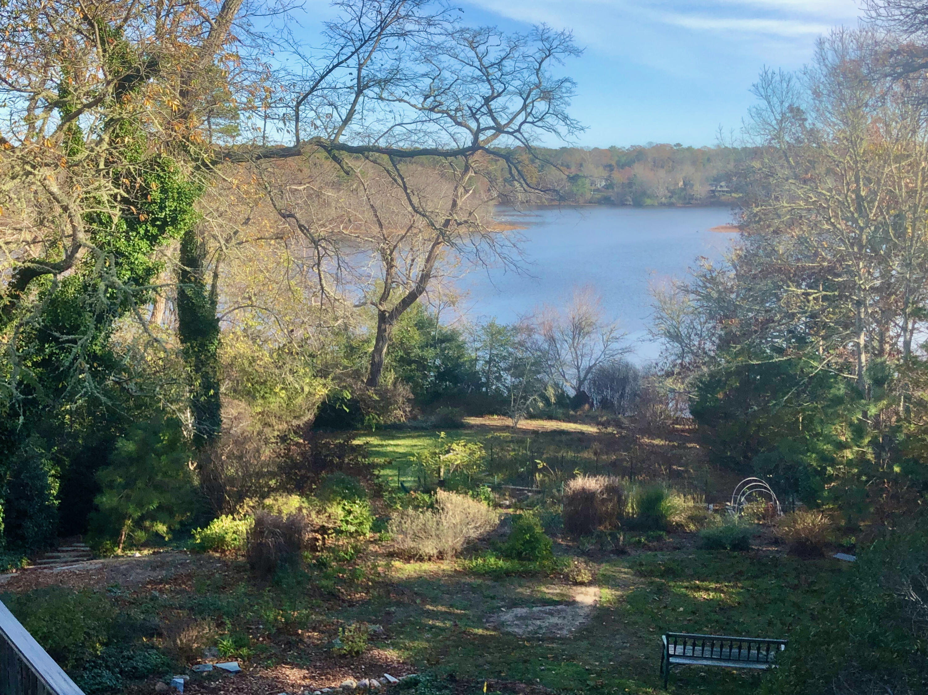 171 Monument Road Orleans, MA 02653 - Photo 7 of 47 a backyard of a house with lots of green space