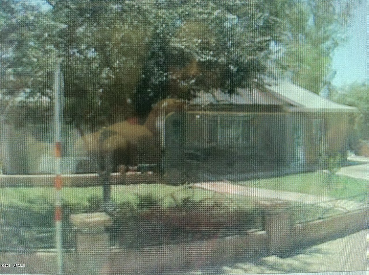 Front View