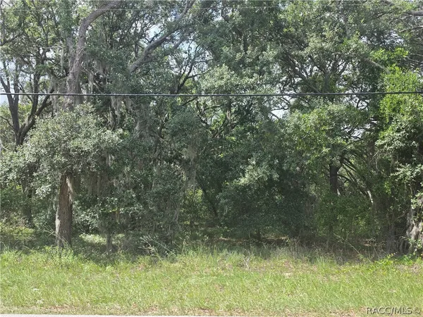 $55,000 | 135 West Pearson Street, Hernando, FL 34442