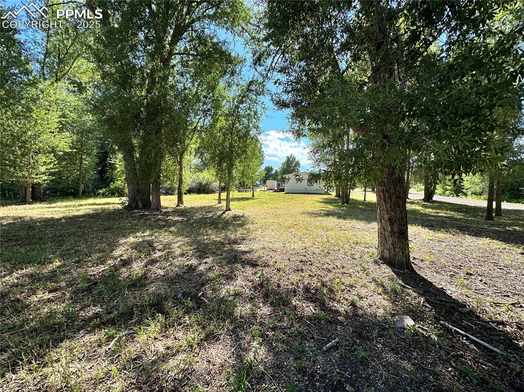 468 Rio Grande Road South Fork, CO 81154 - Photo 3 of 34 a view of yard with tree