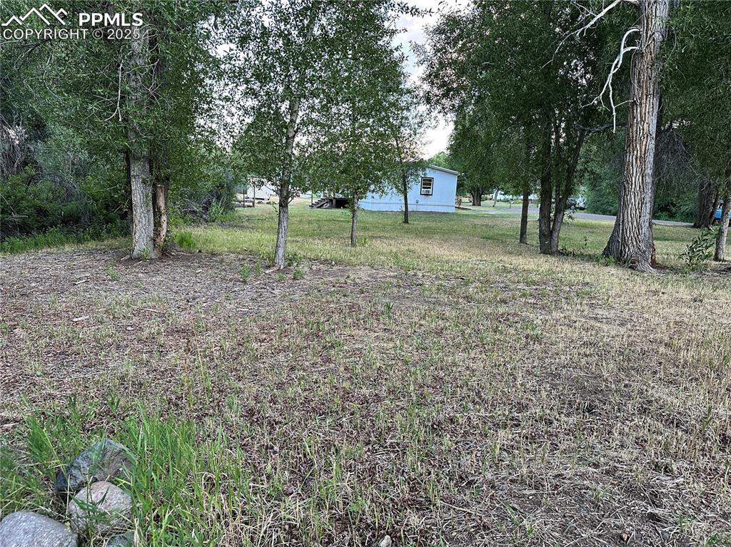 468 Rio Grande Road South Fork, CO 81154 - Photo 33 of 34 a view of outdoor space with trees