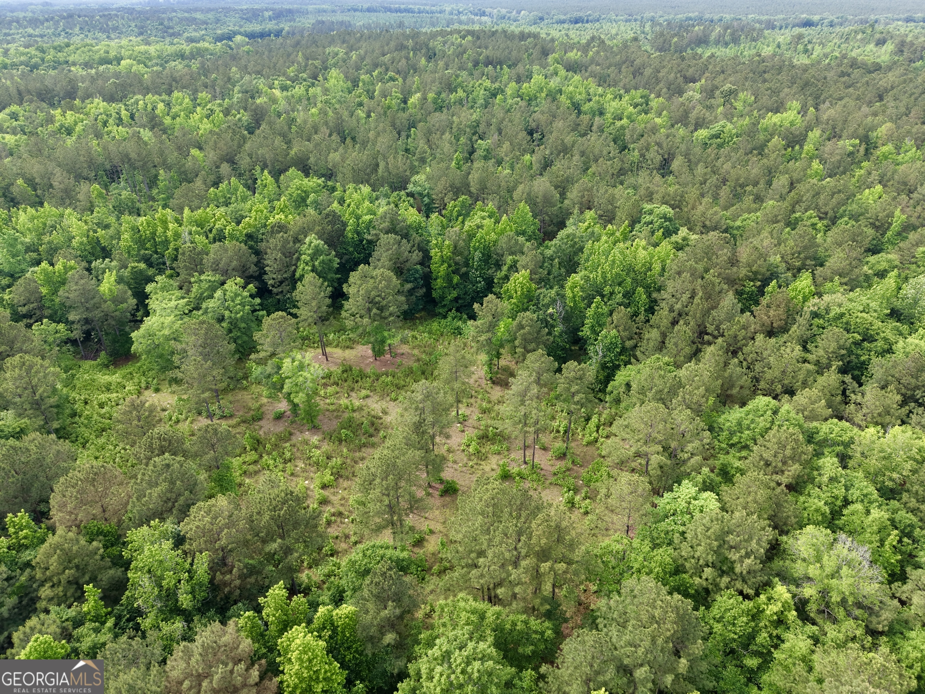 715 Fulsome Creek Road Sparta, GA 31087 - Photo 112 of 117