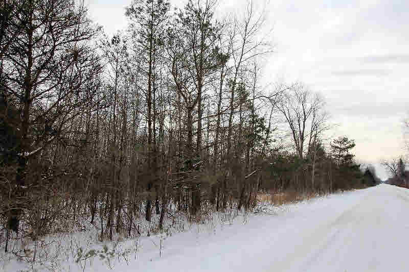 1731 Wieman Road Beaverton, MI 48612 - Photo 9 of 48