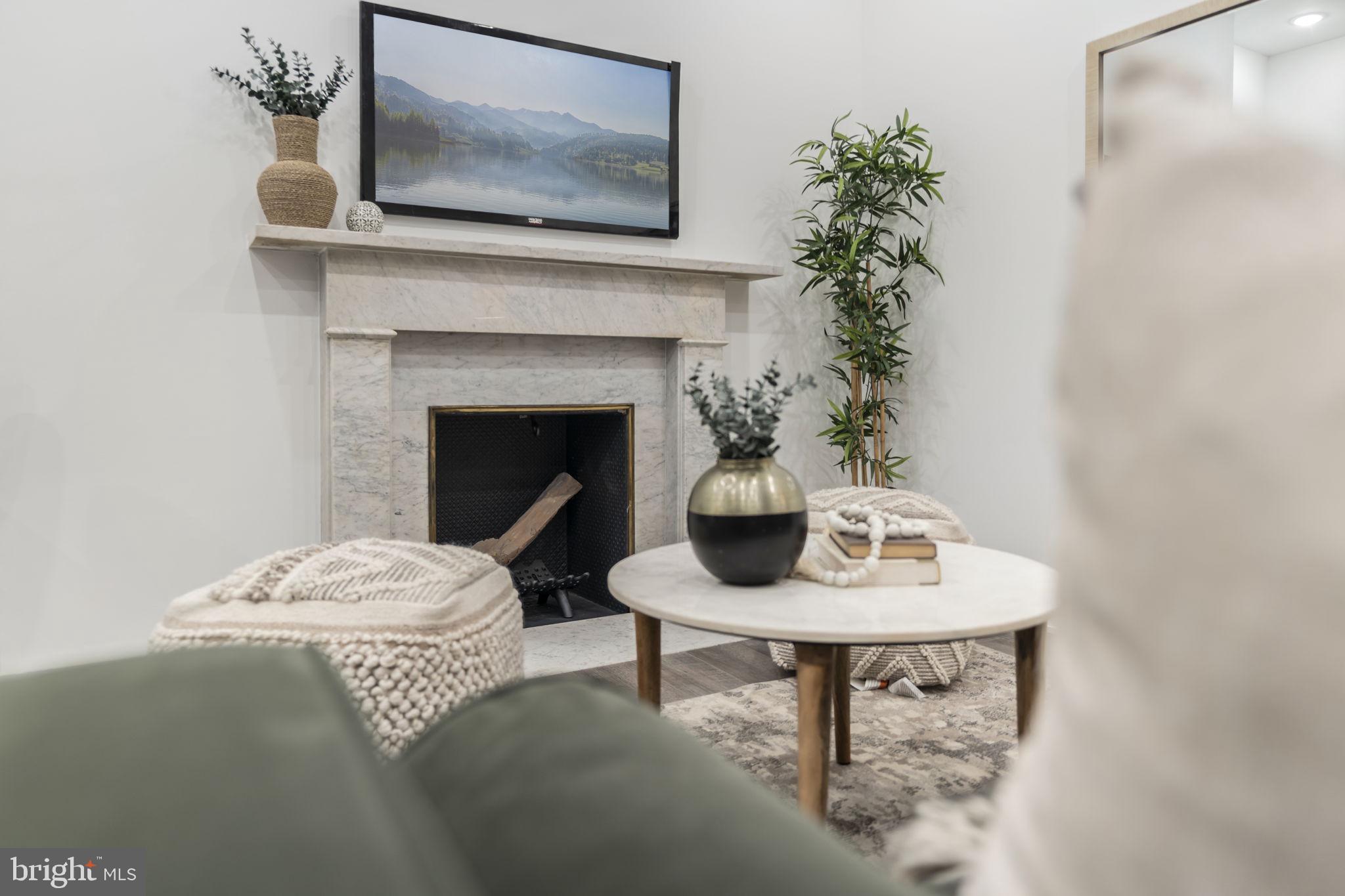 1602-4 Locust Street, Unit 202 Philadelphia, PA 19103 - Photo 6 of 25 a living room with furniture a potted plant and a fireplace