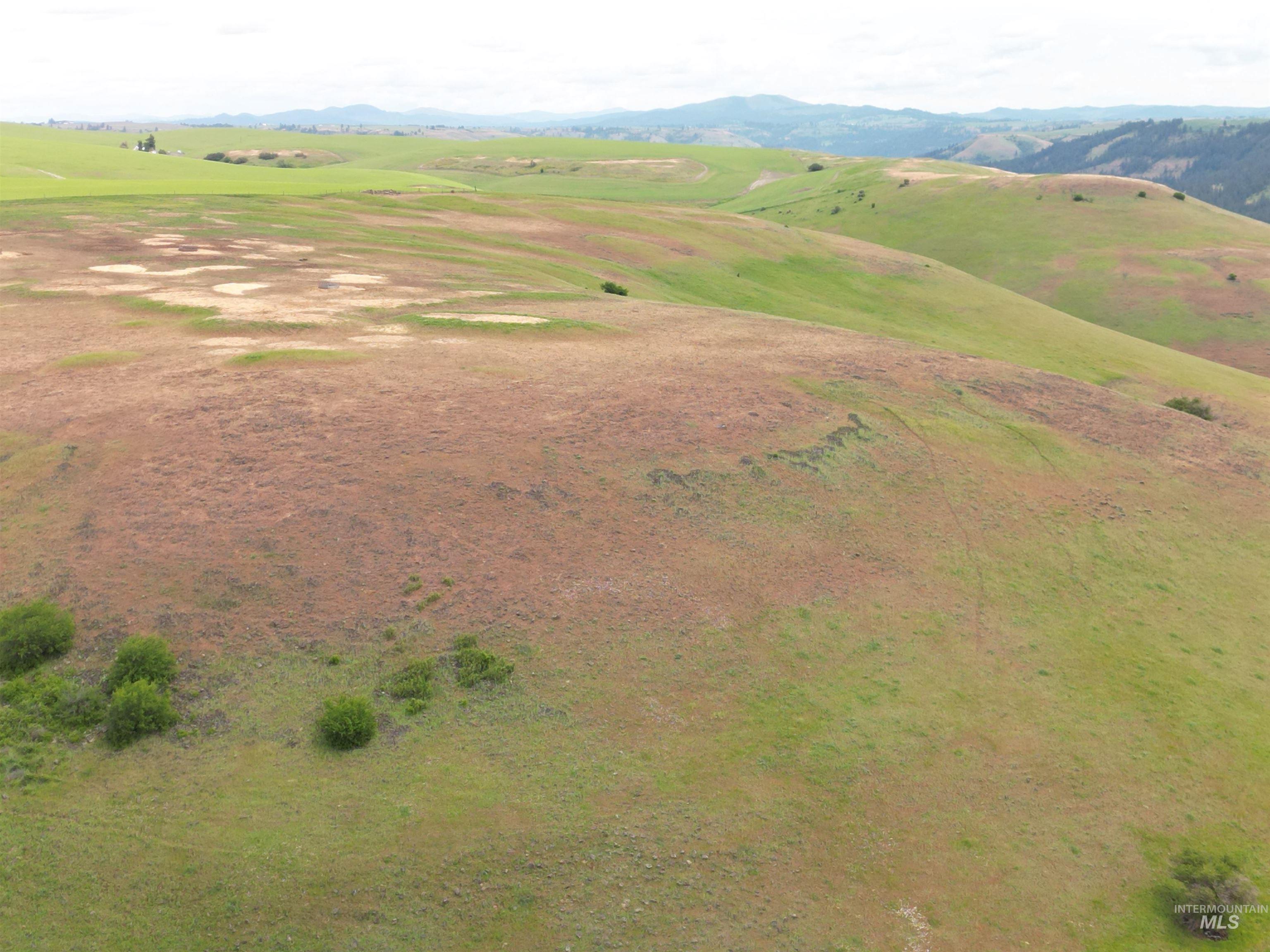 0 American Ridge Road Kendrick, ID 83537 - Photo 11 of 17