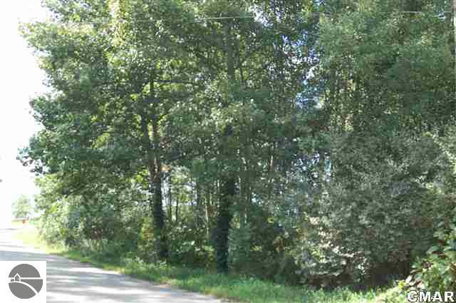 0 East Pakes Road Crystal, MI 48818 - Photo 1 of 3 1764441.JPG