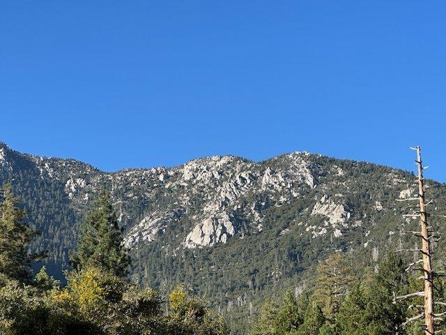 0 Howland Road Idyllwild, CA 92549 - Photo 13 of 16 IMG_4146