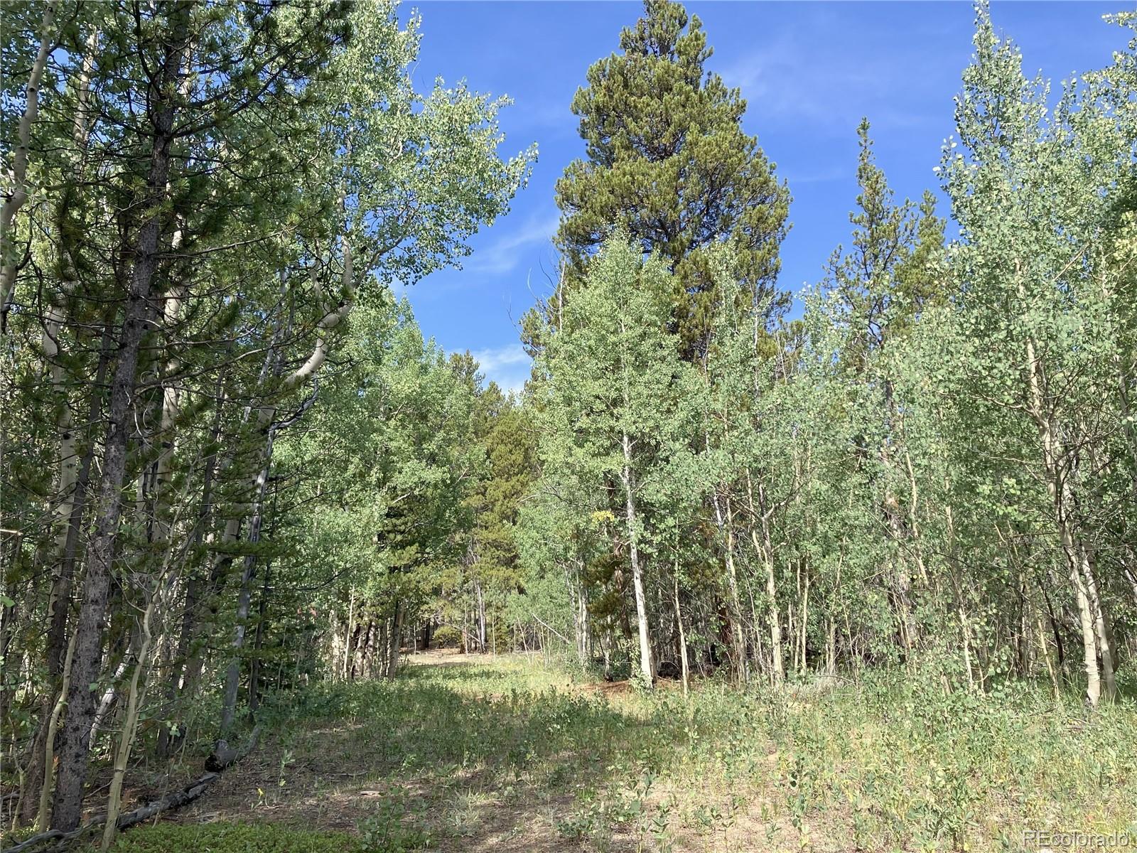 89 Skidoo Road Fairplay, CO 80440 - Photo 11 of 18