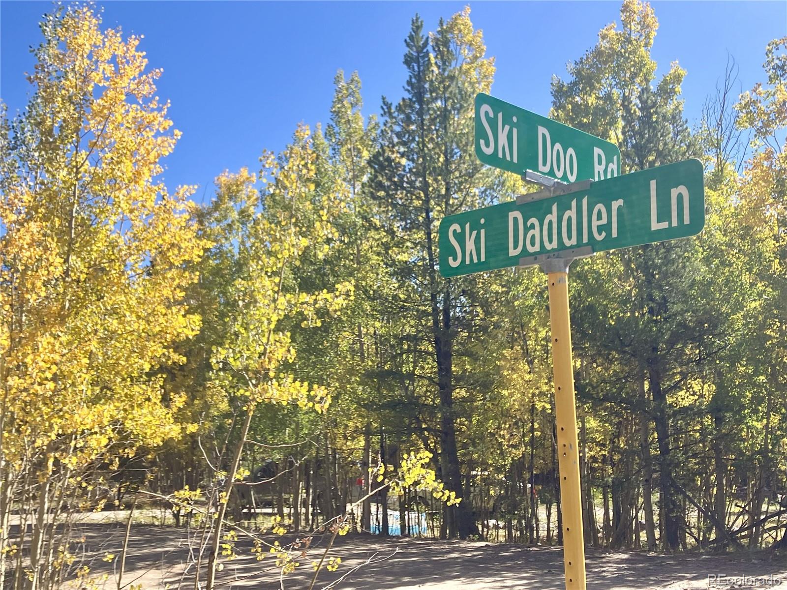 89 Skidoo Road Fairplay, CO 80440 - Photo 12 of 18 a street sign on a pole on a street