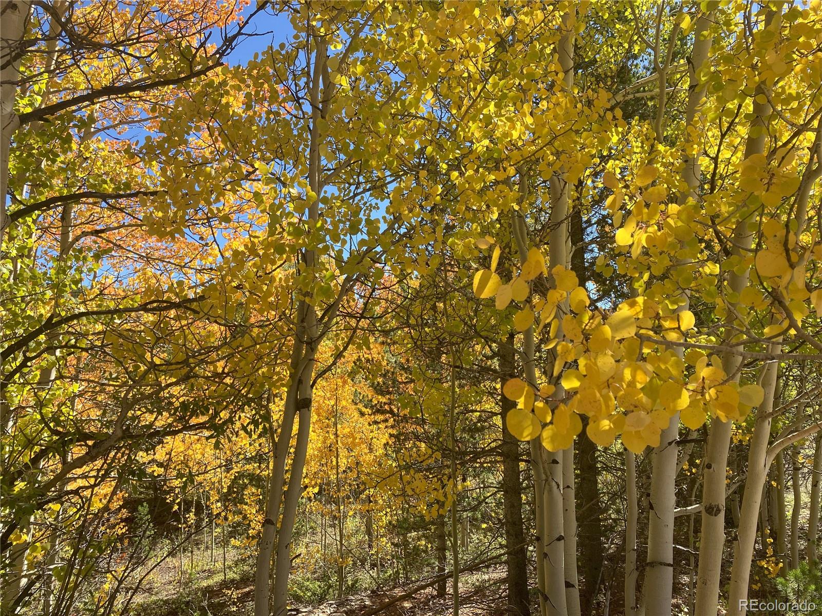 89 Skidoo Road Fairplay, CO 80440 - Photo 13 of 18