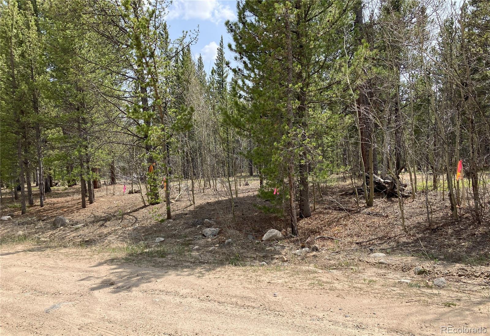 89 Skidoo Road Fairplay, CO 80440 - Photo 14 of 18 a view of a yard with a tree