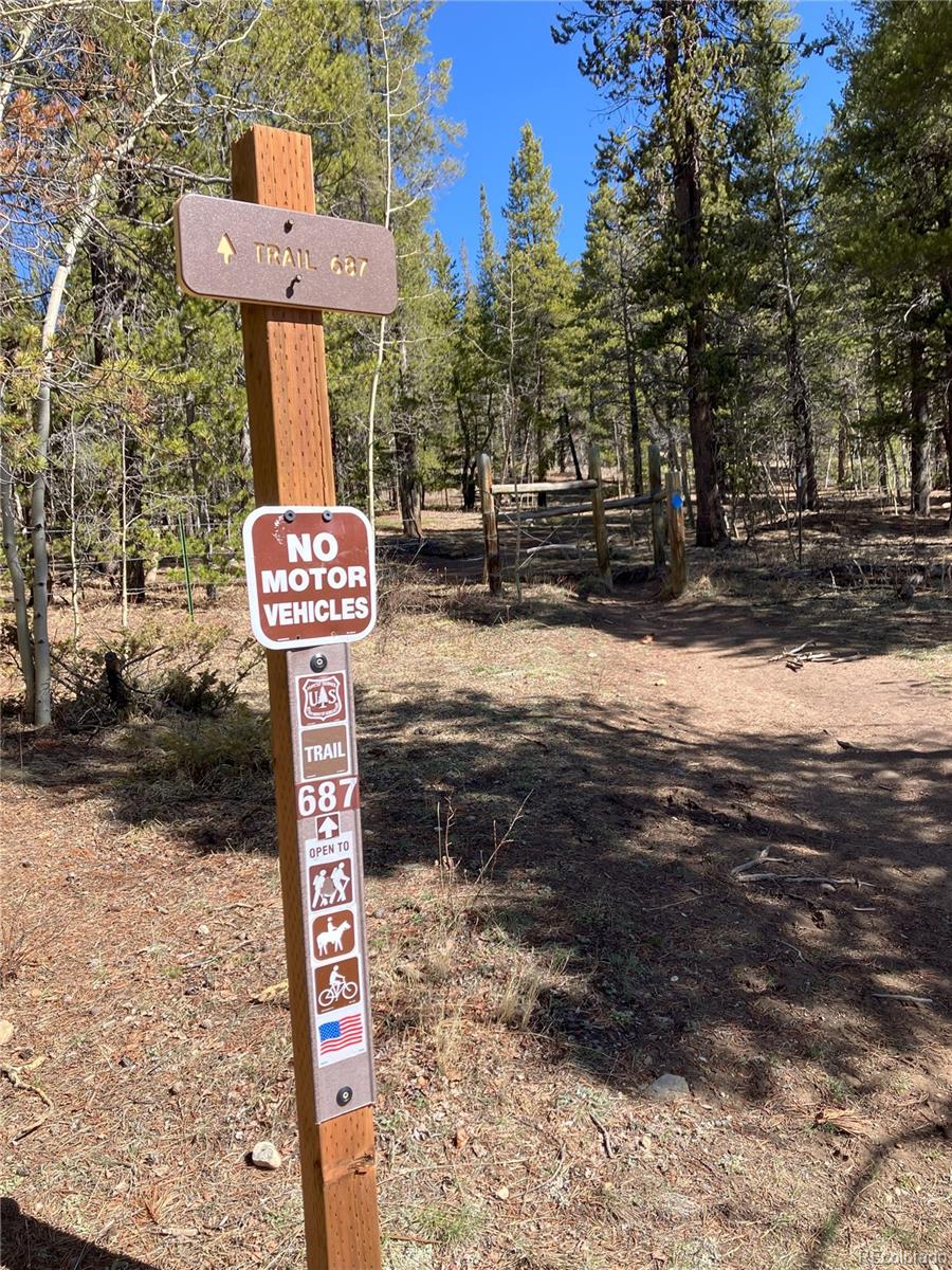 89 Skidoo Road Fairplay, CO 80440 - Photo 16 of 18 a street sign on a sidewalk next to a road