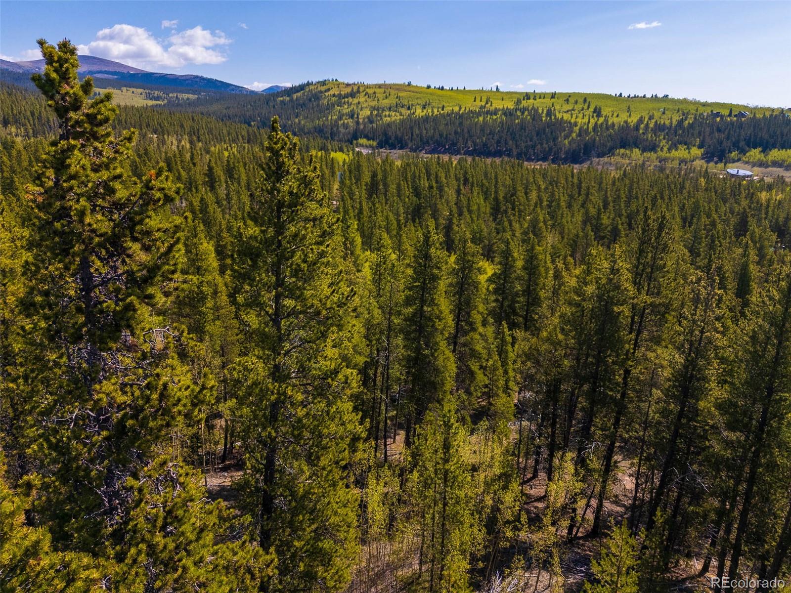 89 Skidoo Road Fairplay, CO 80440 - Photo 2 of 18 a view of mountain with lake view