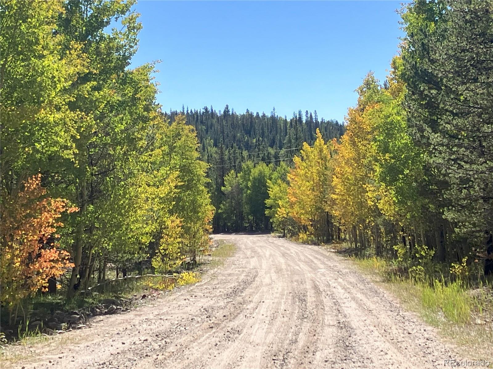 89 Skidoo Road Fairplay, CO 80440 - Photo 5 of 18 a view of backyard with trees
