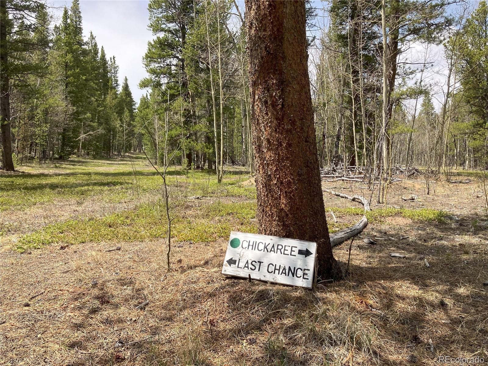 89 Skidoo Road Fairplay, CO 80440 - Photo 9 of 18 a view of a trees with yard