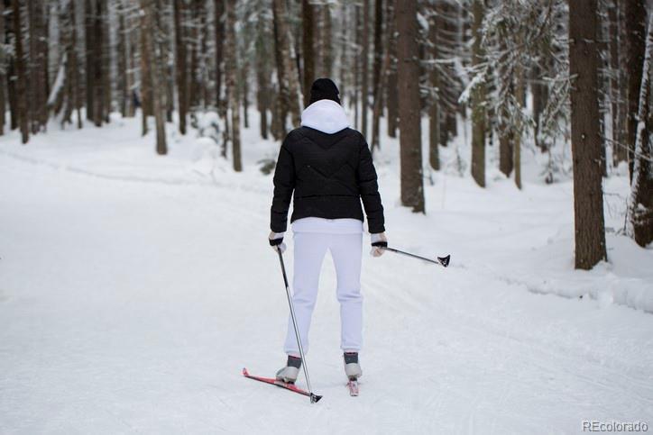 89 Skidoo Road Fairplay, CO 80440 - Photo 10 of 18 a close view of a sink