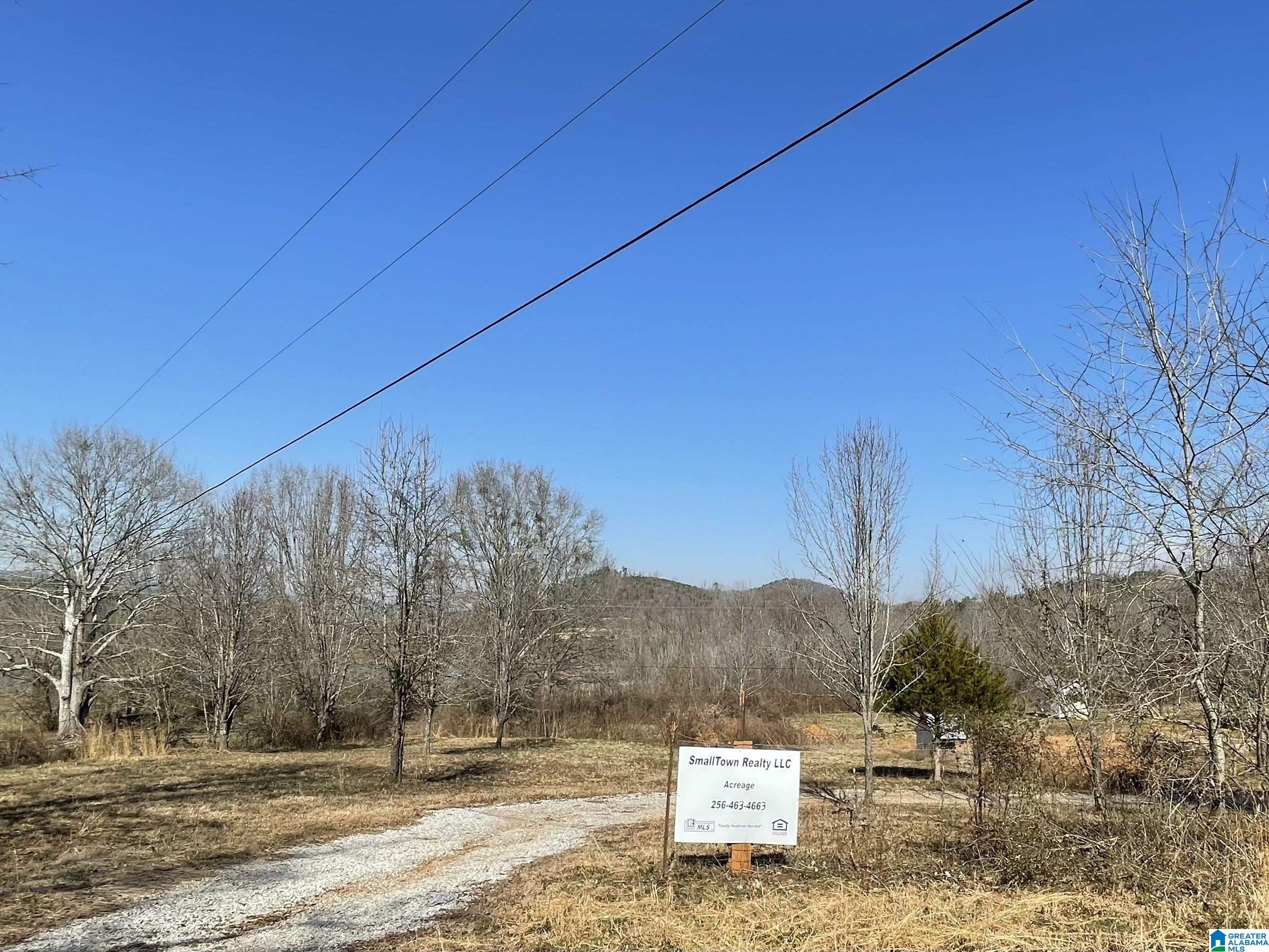 1619 Old Downing Ml Road Anniston, AL 36207 - Photo 2 of 15