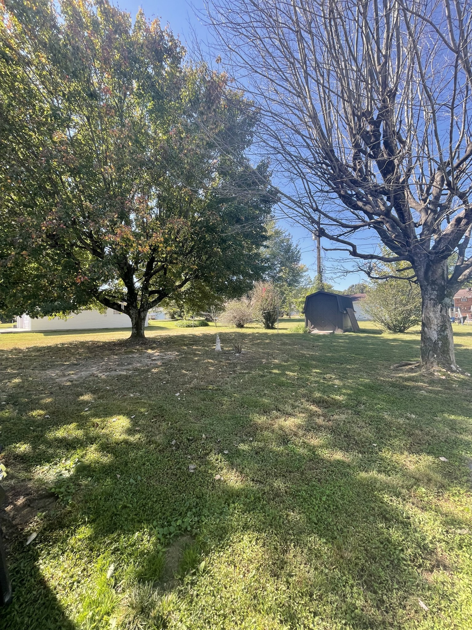 851 Akersville Road Lafayette, TN 37083 - Photo 11 of 29 a view of yard with trees
