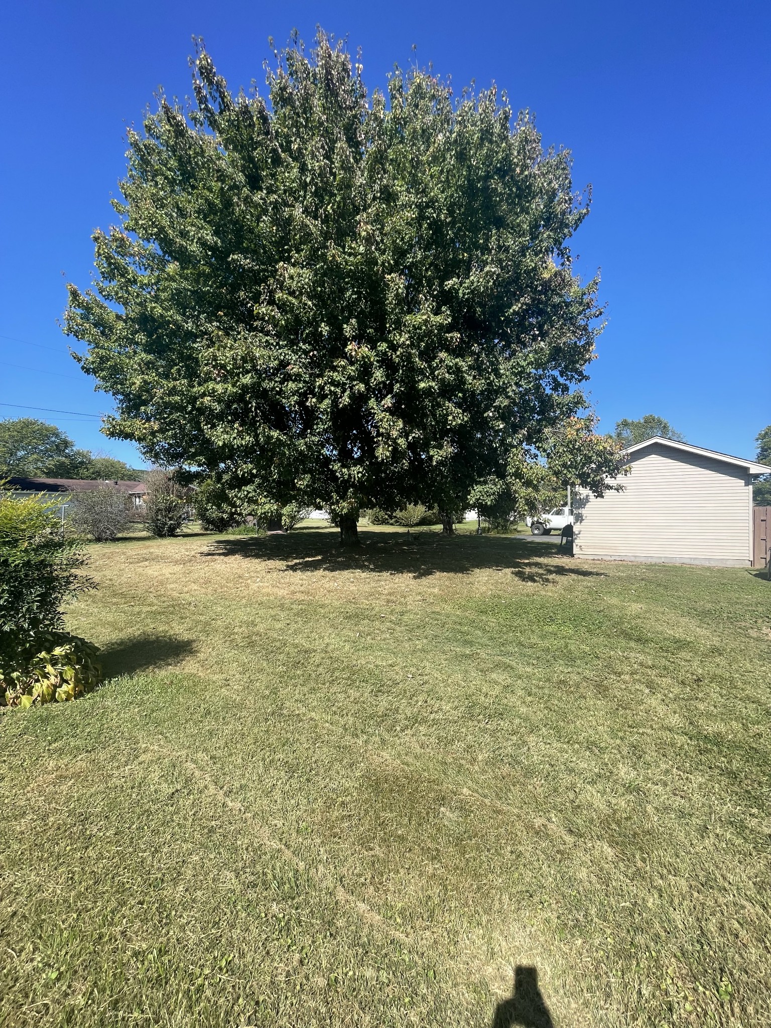 851 Akersville Road Lafayette, TN 37083 - Photo 10 of 29 a view of yard with green space