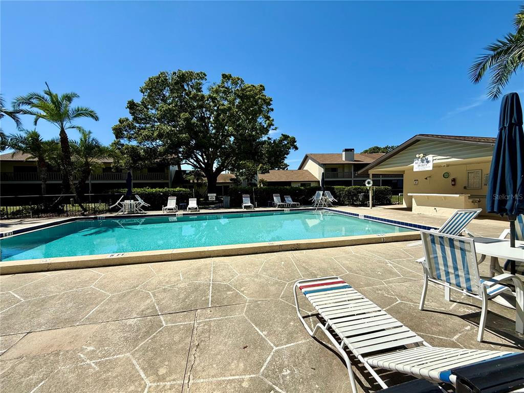 1920 Whitney Way Clearwater, FL 33760 - Photo 34 of 38 a view of a swimming pool with a bench and lawn chairs