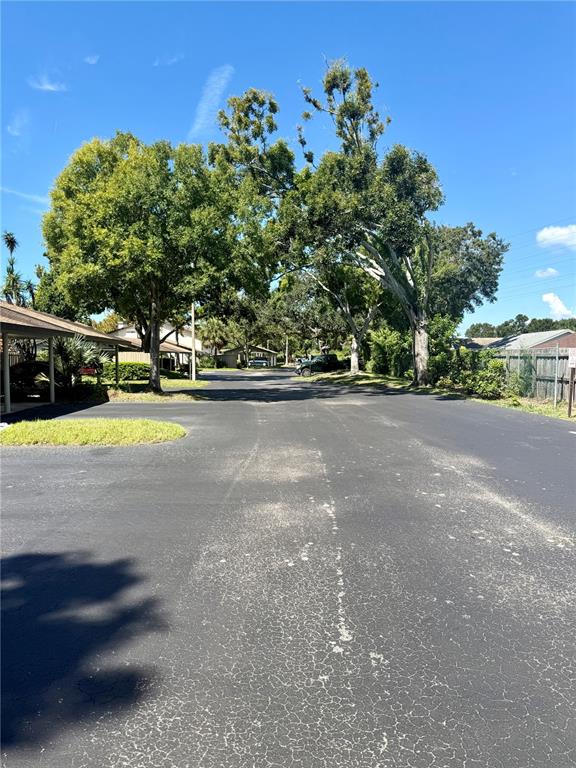 1920 Whitney Way Clearwater, FL 33760 - Photo 38 of 38 a view of a swimming pool and trees in the background