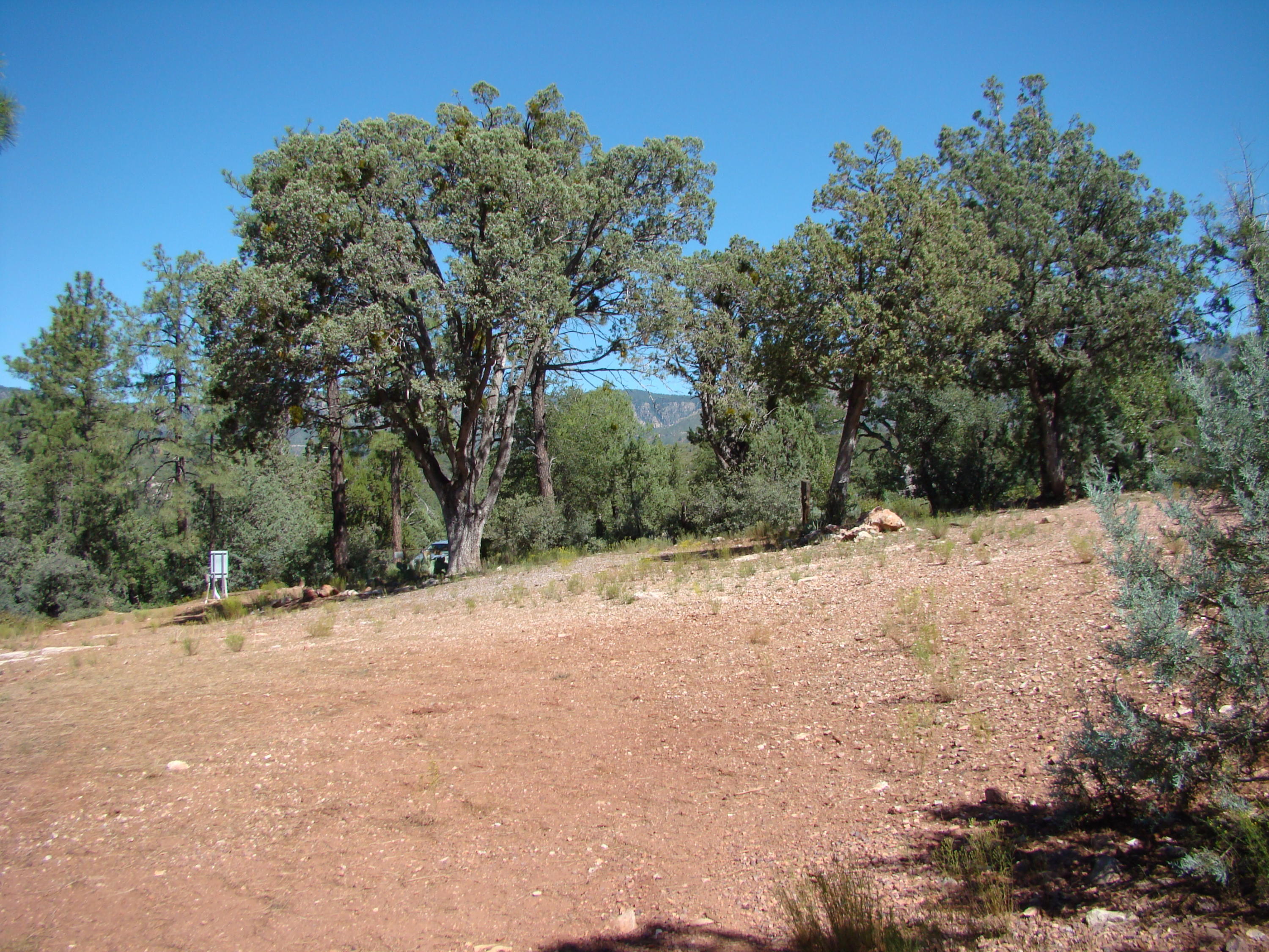17033 Fire Control Road Payson, AZ 85541 - Photo 15 of 28