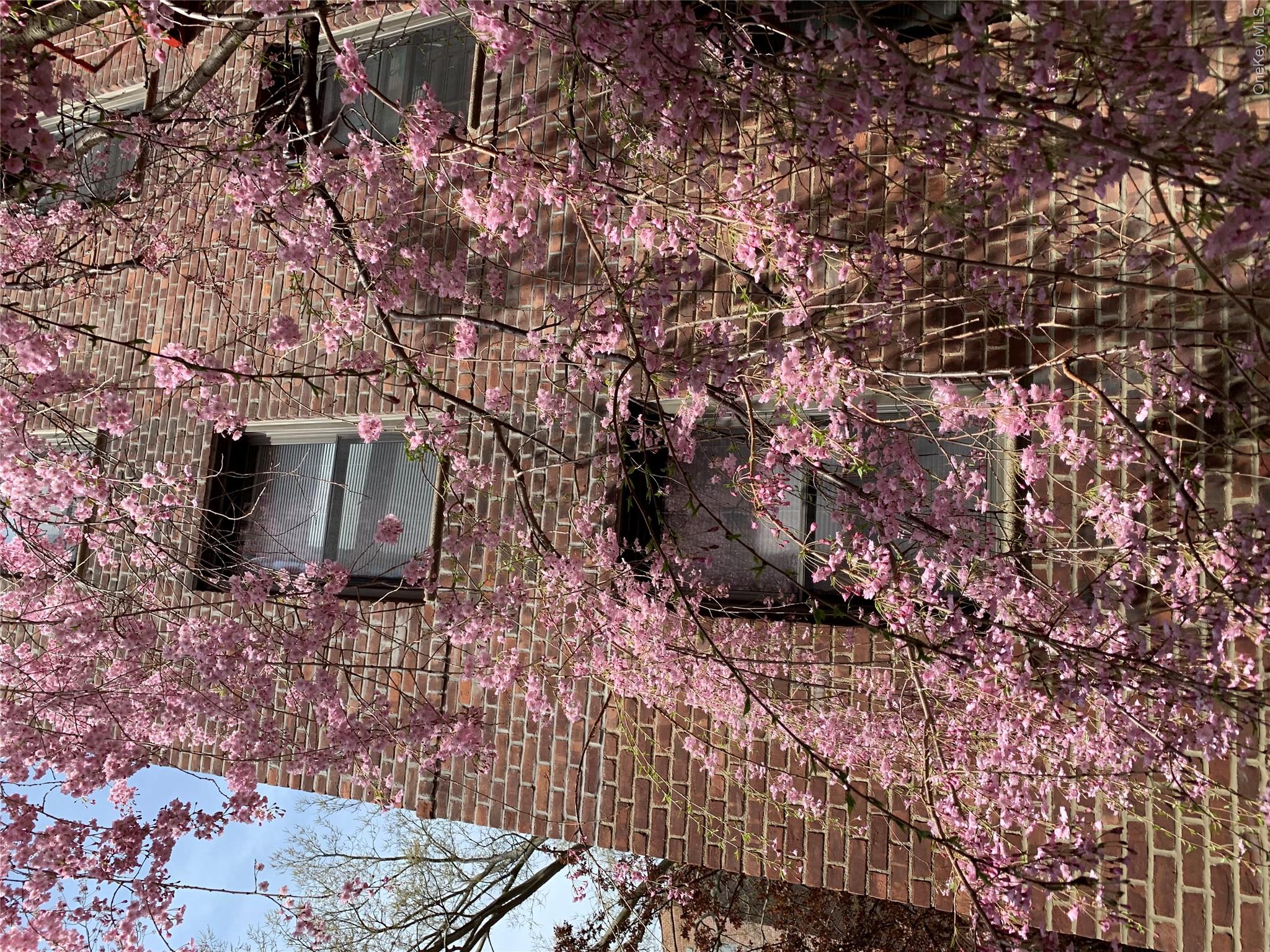 150-29 72nd Road, Unit 3L Queens, NY 11367 - Photo 13 of 17