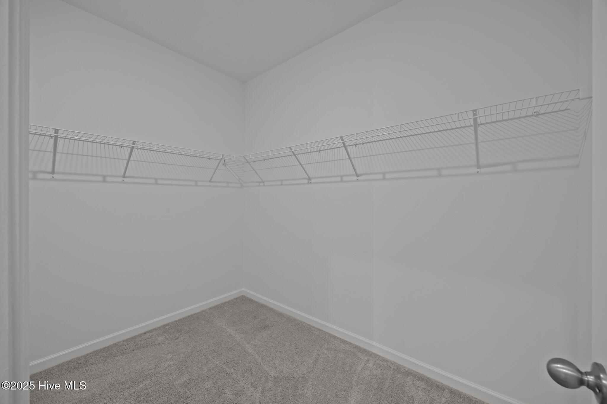 1008 Rodanthe Drive New Bern, NC 28562 - Photo 24 of 50 Large Walk-in Closet