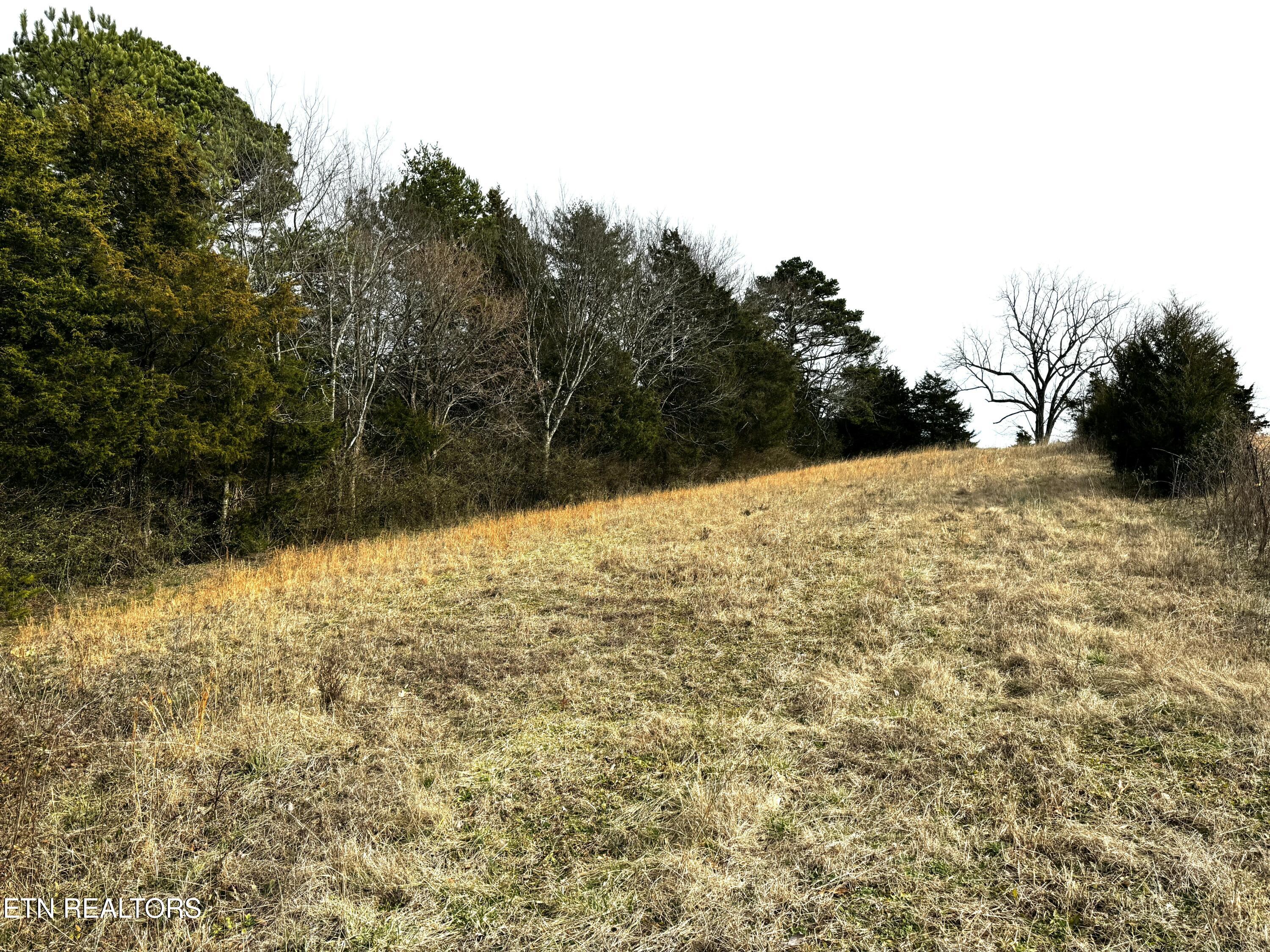 Laurel Hollow Road Clinton, TN 37716 - Photo 14 of 21 tempImagexZTFwp