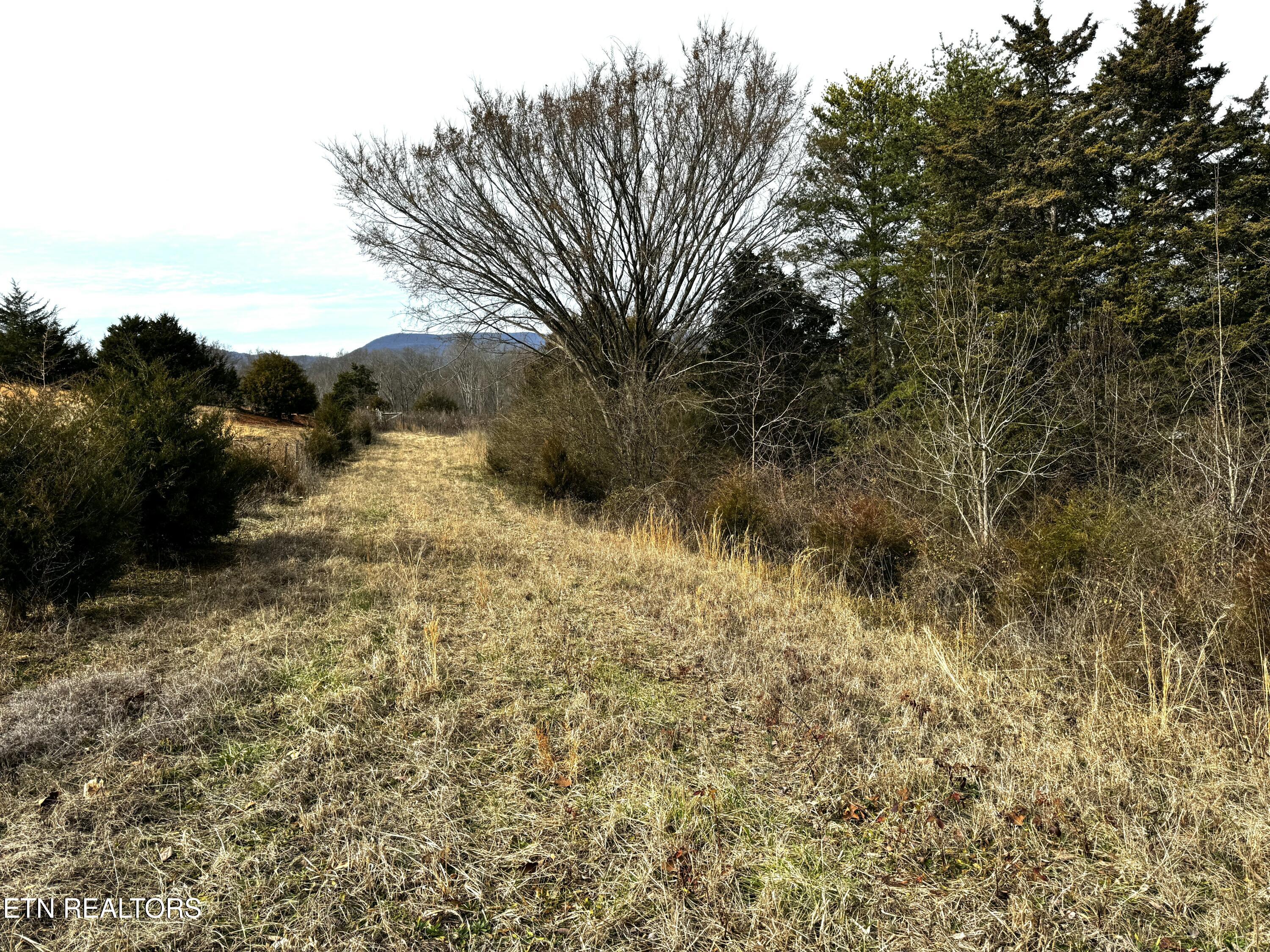 Laurel Hollow Road Clinton, TN 37716 - Photo 15 of 21 tempImage89SuWq
