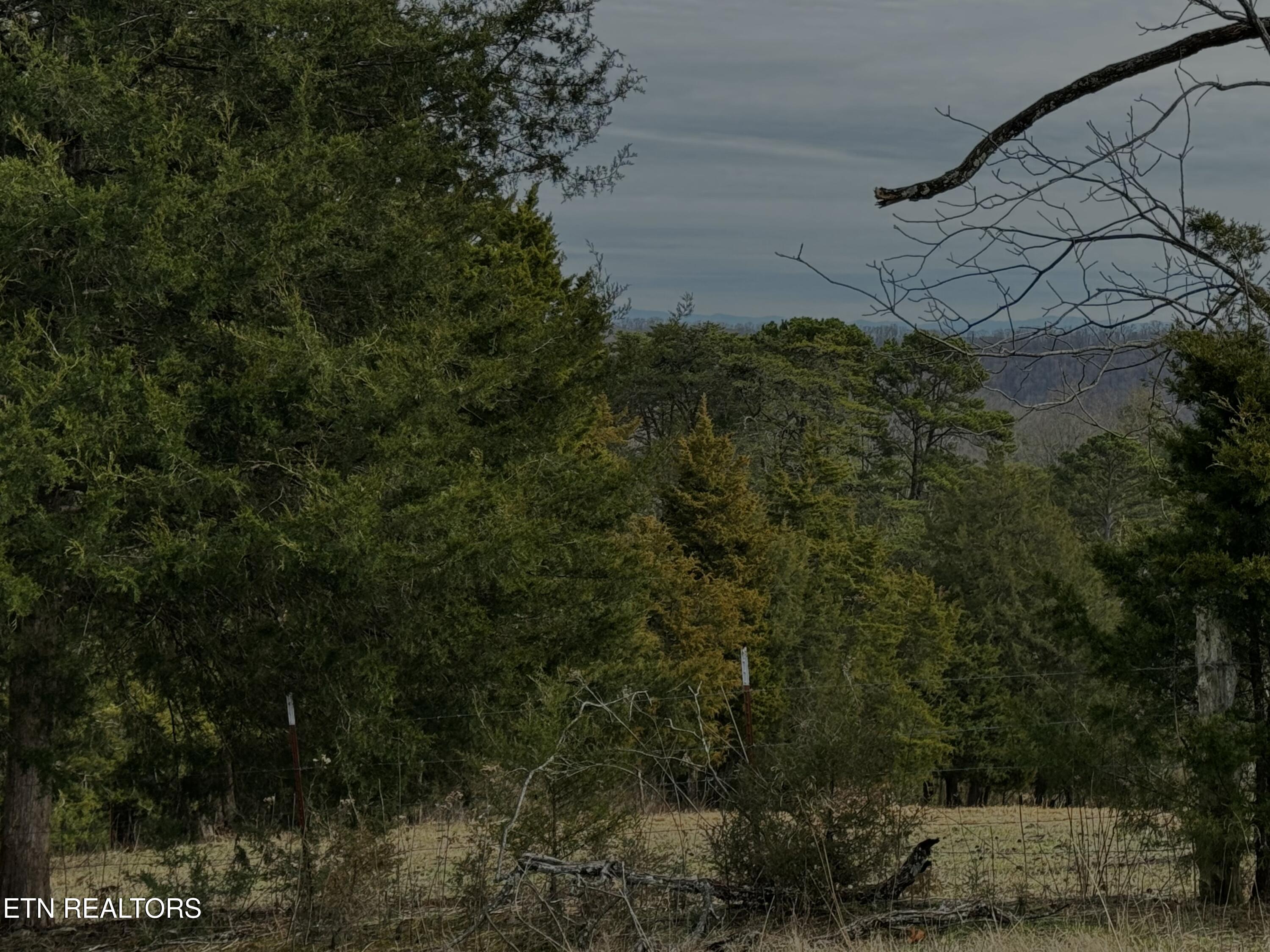 Laurel Hollow Road Clinton, TN 37716 - Photo 17 of 21 tempImagexpnmgf