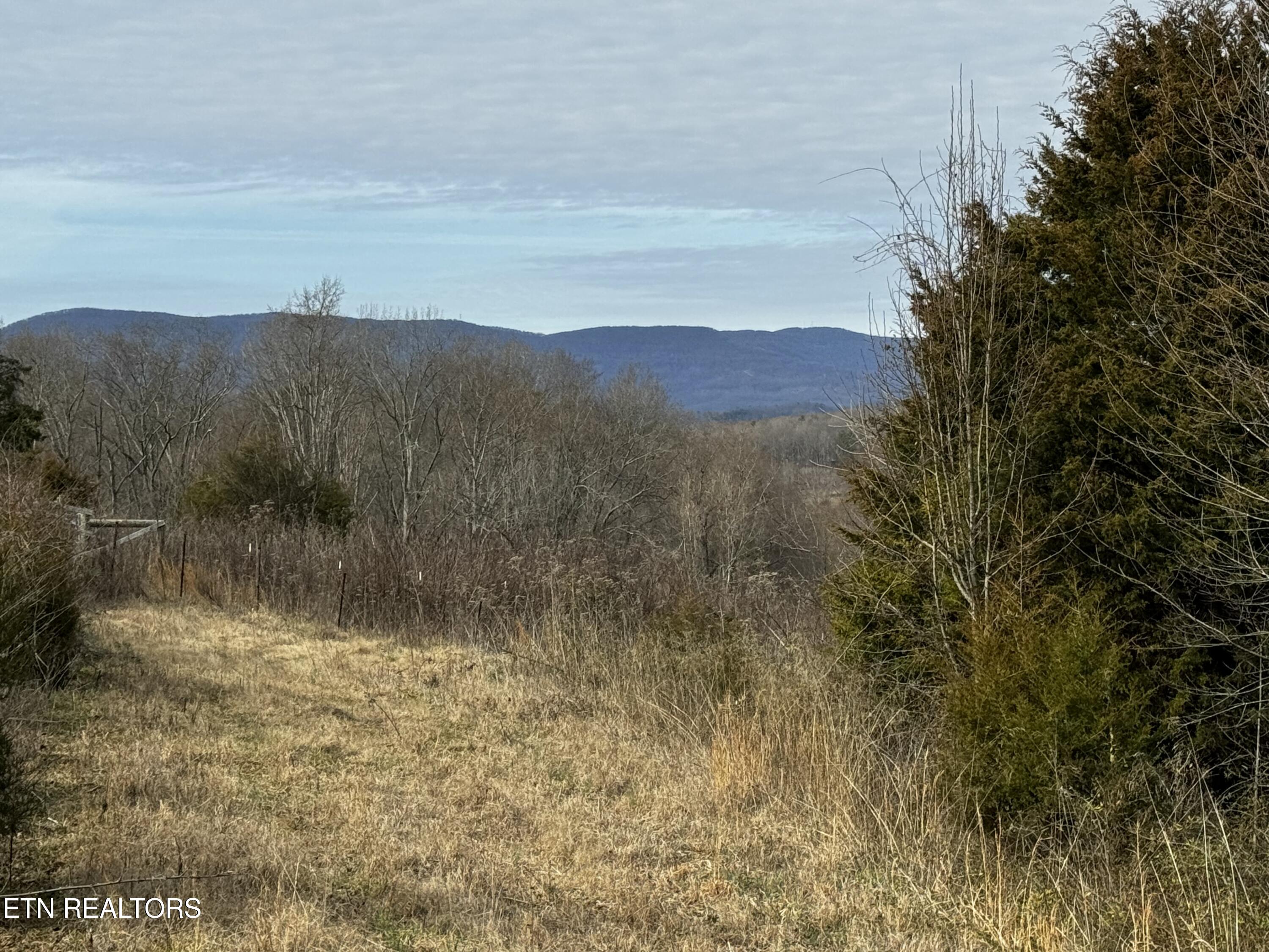 Laurel Hollow Road Clinton, TN 37716 - Photo 18 of 21 tempImageVZquSB