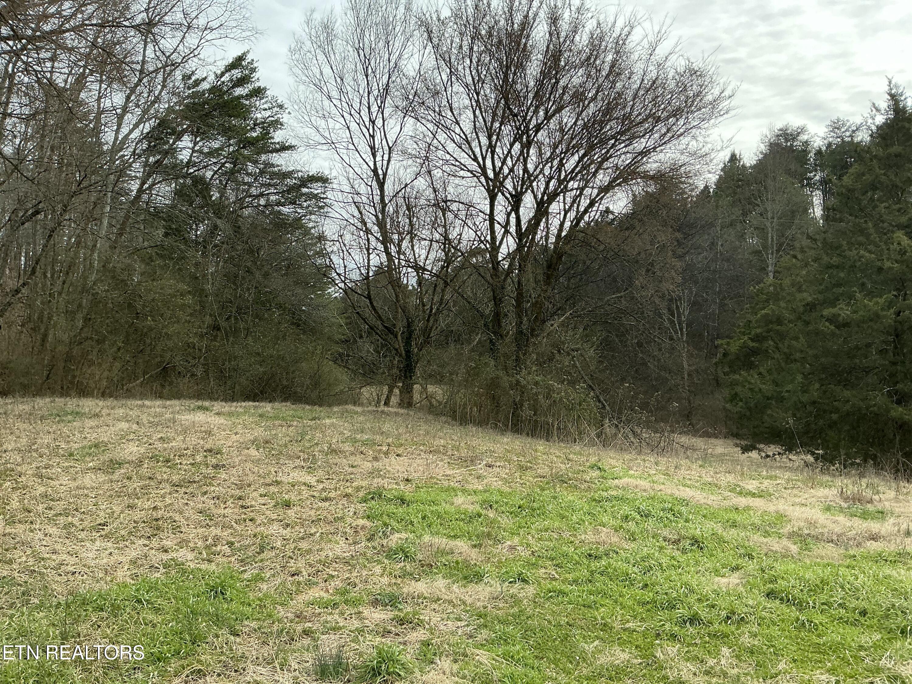 Laurel Hollow Road Clinton, TN 37716 - Photo 3 of 21 tempImageD1rWeW