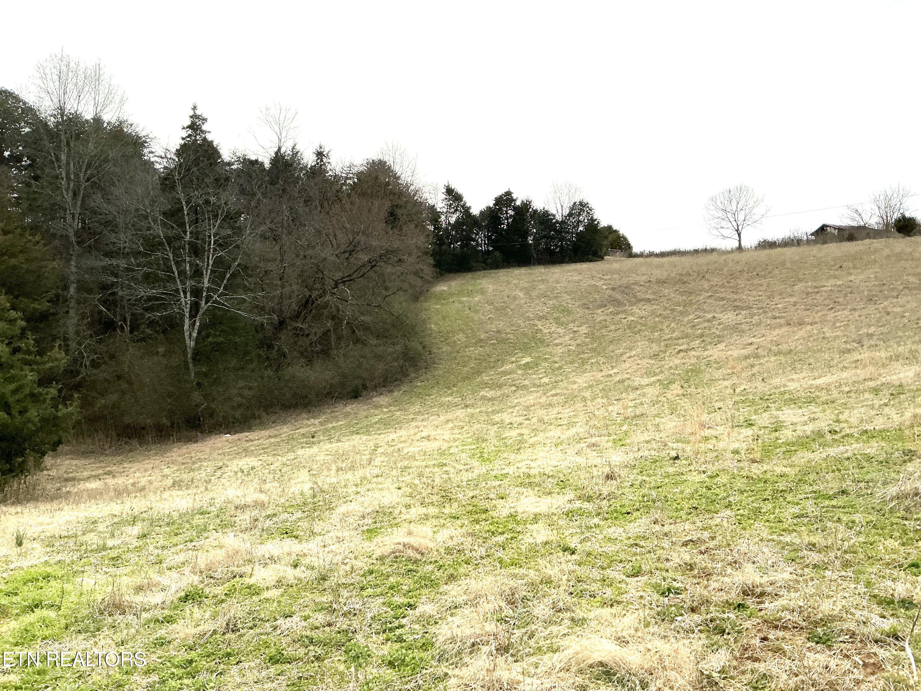 Laurel Hollow Road Clinton, TN 37716 - Photo 4 of 21 tempImage4pkD3w