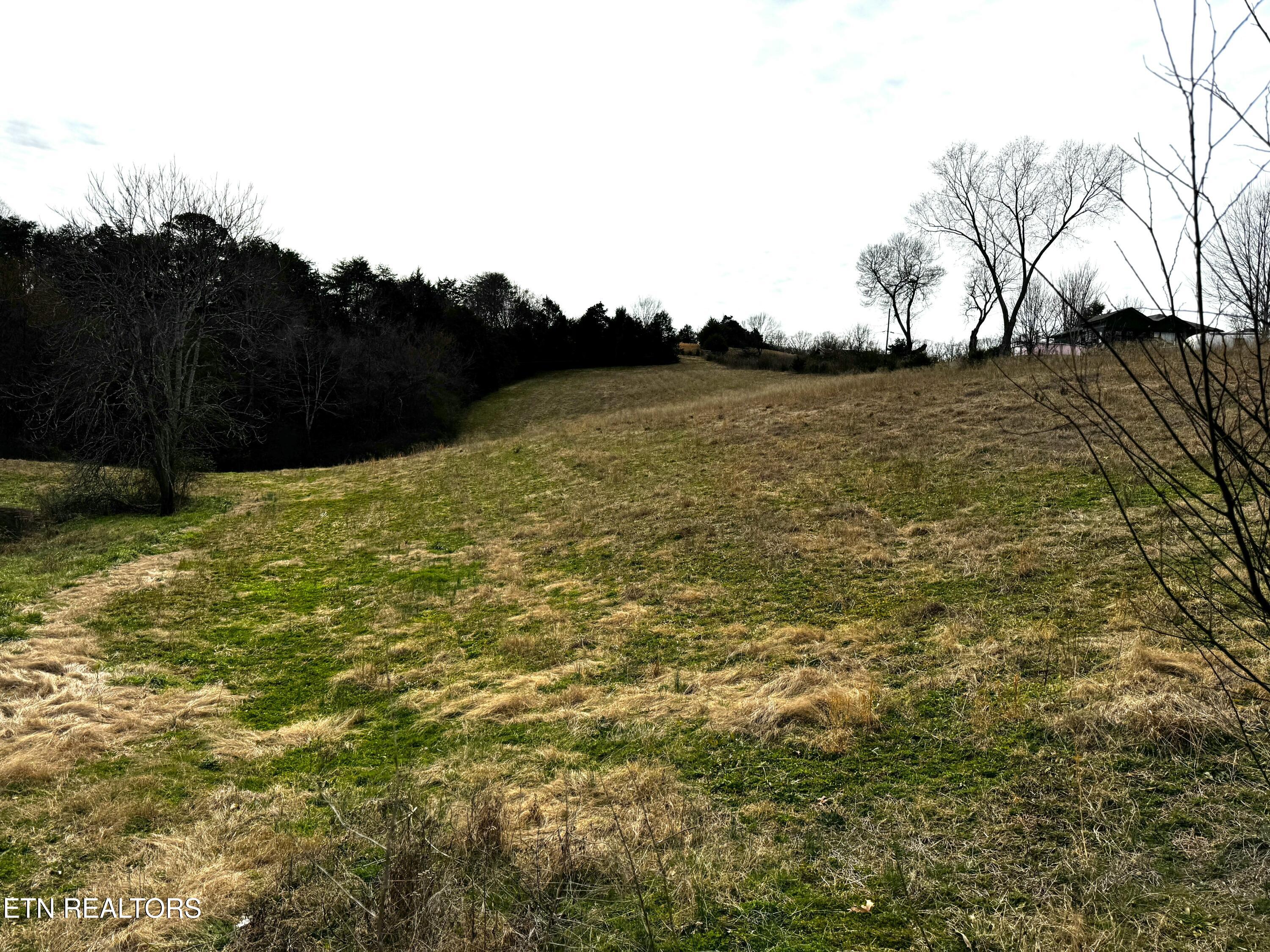 Laurel Hollow Road Clinton, TN 37716 - Photo 5 of 21 tempImagezVFxv9