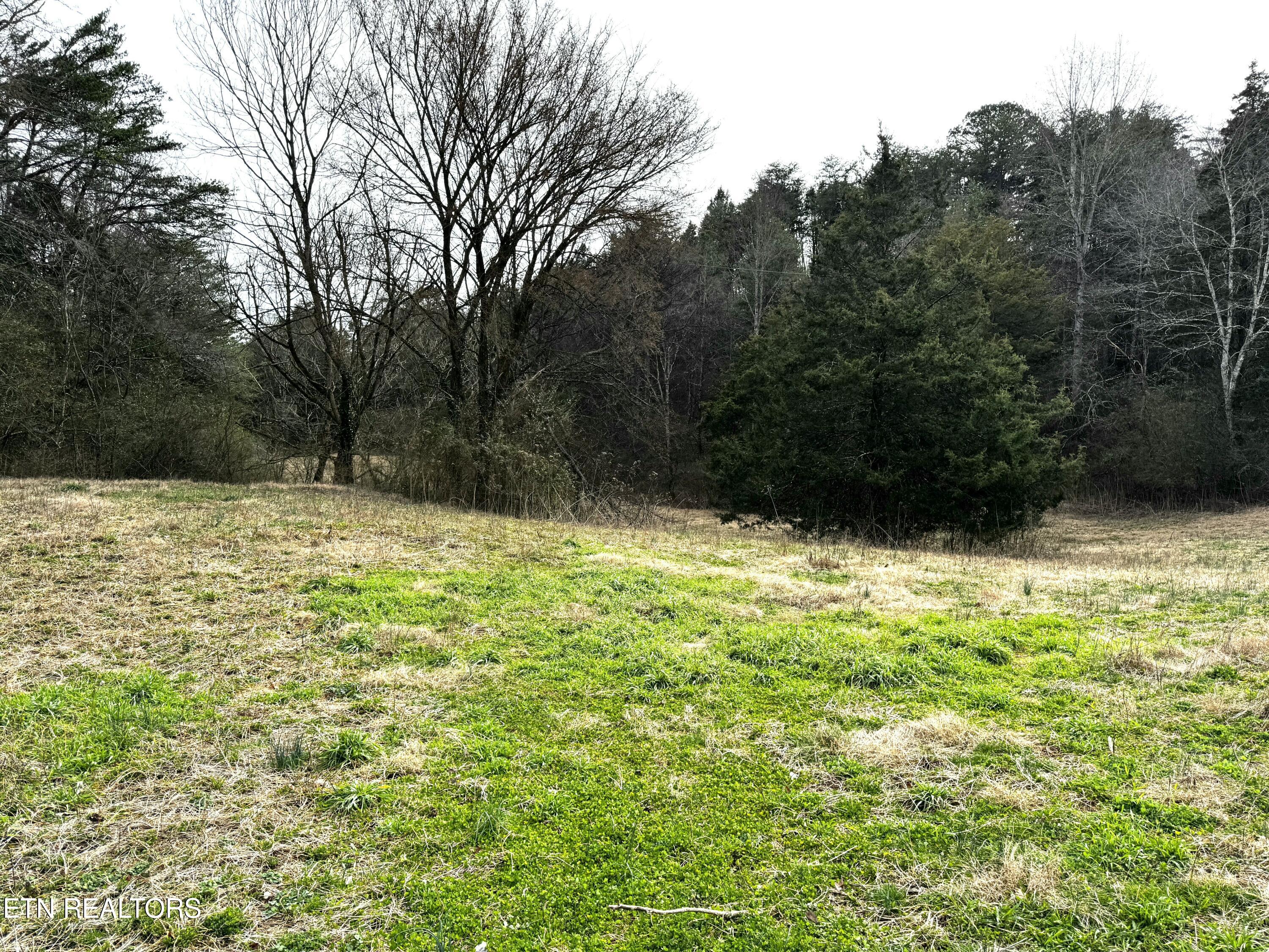 Laurel Hollow Road Clinton, TN 37716 - Photo 8 of 21 tempImageLlUtbn
