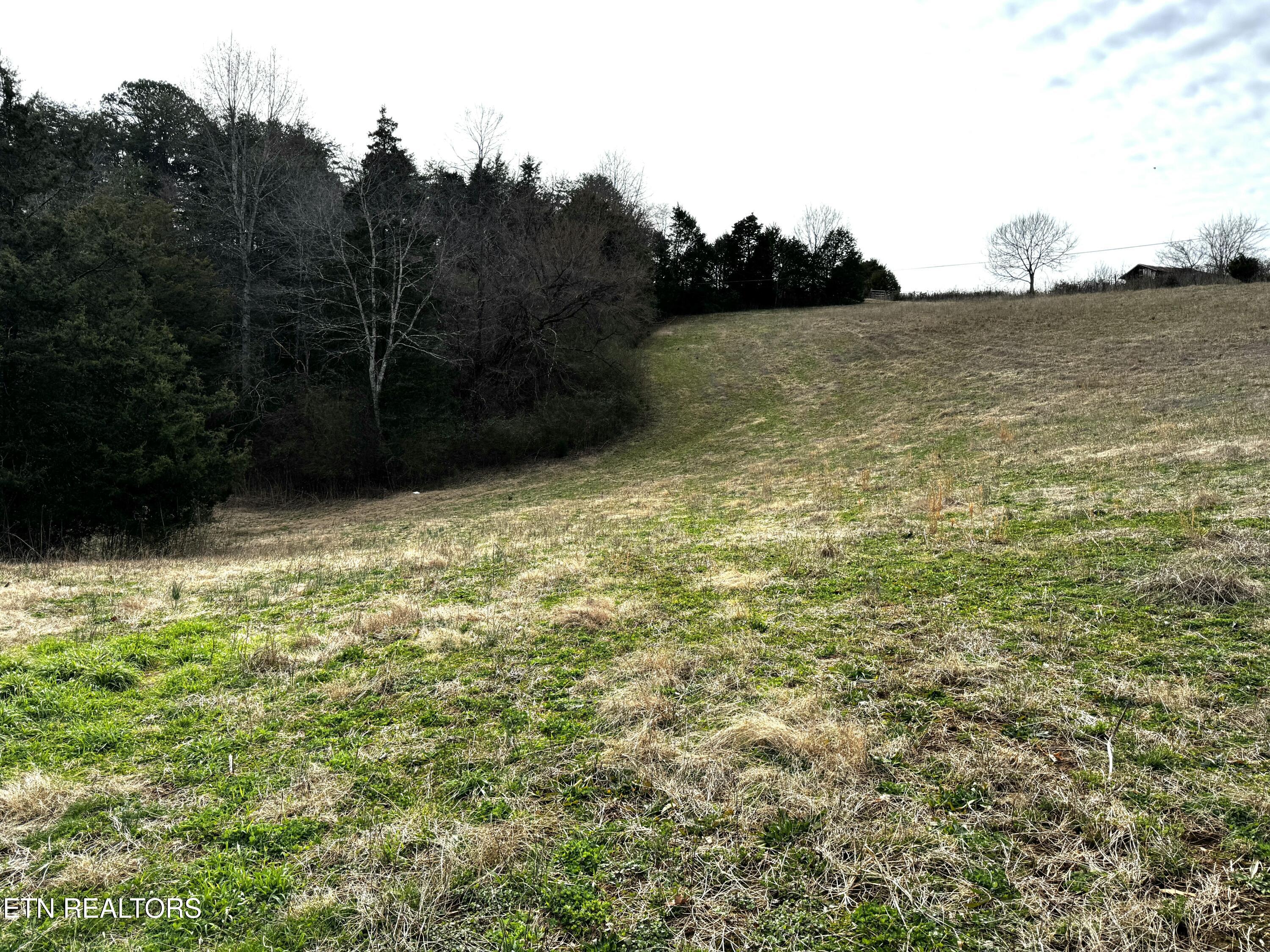 Laurel Hollow Road Clinton, TN 37716 - Photo 9 of 21 tempImageFbVGHy