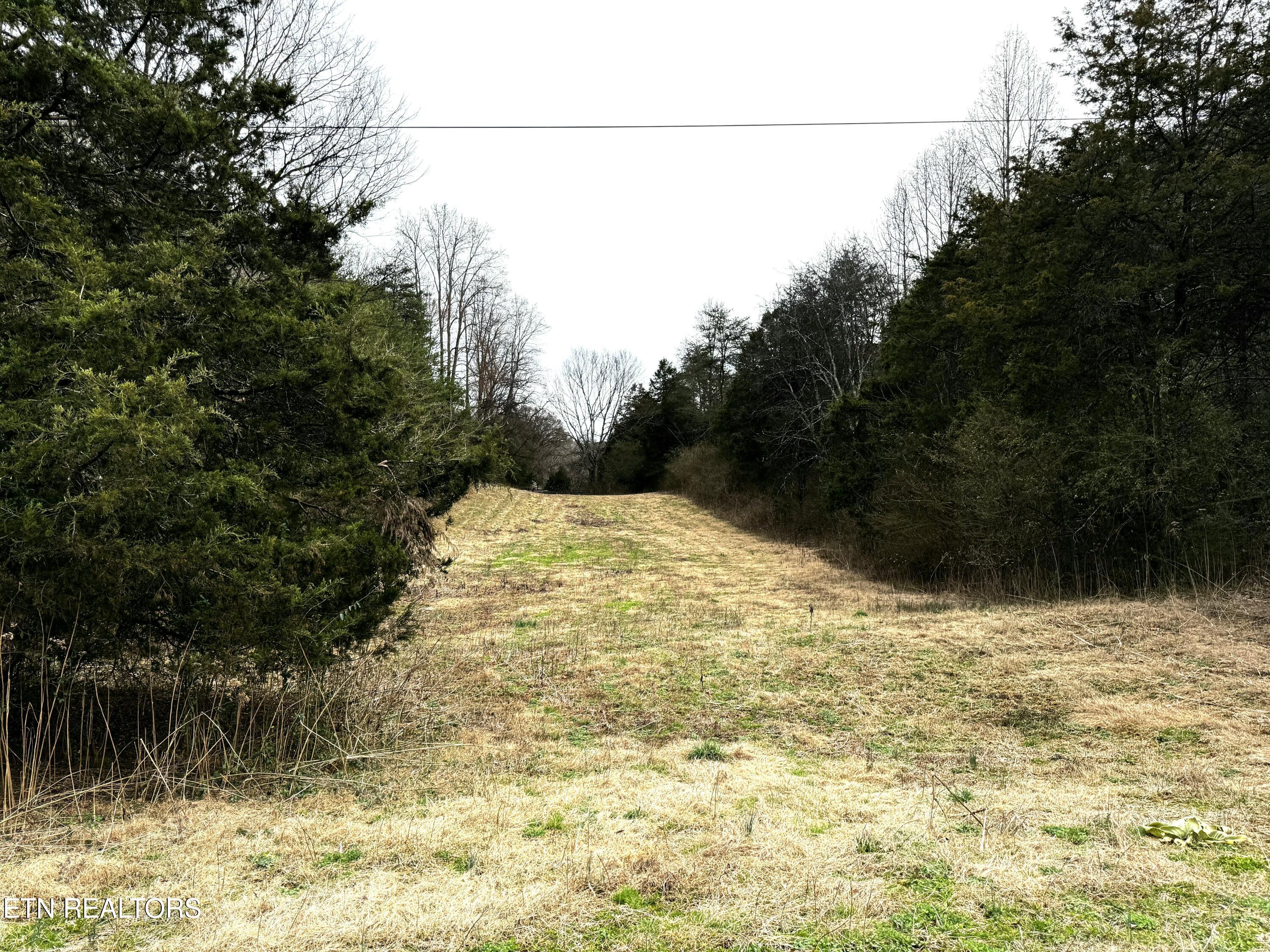 Laurel Hollow Road Clinton, TN 37716 - Photo 10 of 21 tempImageH1jDPe
