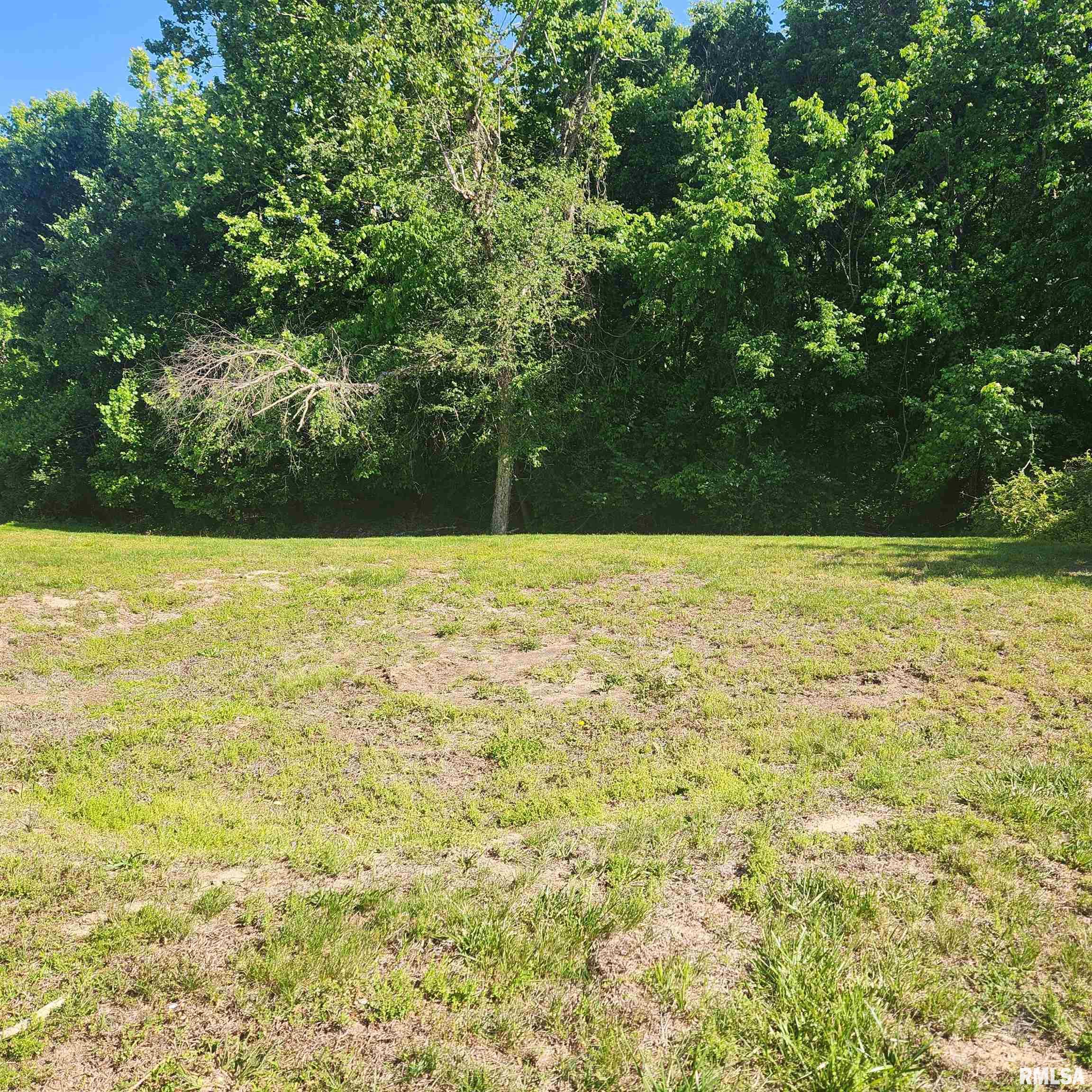11744 Hafer Road Carterville, IL 62918 - Photo 6 of 20