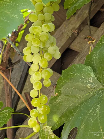 $1,200,000 | 1224 East Hays Street, Boise, ID 83712