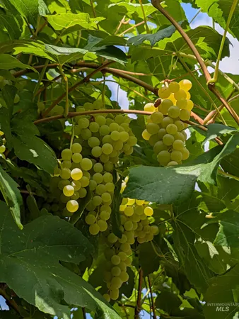 $1,200,000 | 1224 East Hays Street, Boise, ID 83712