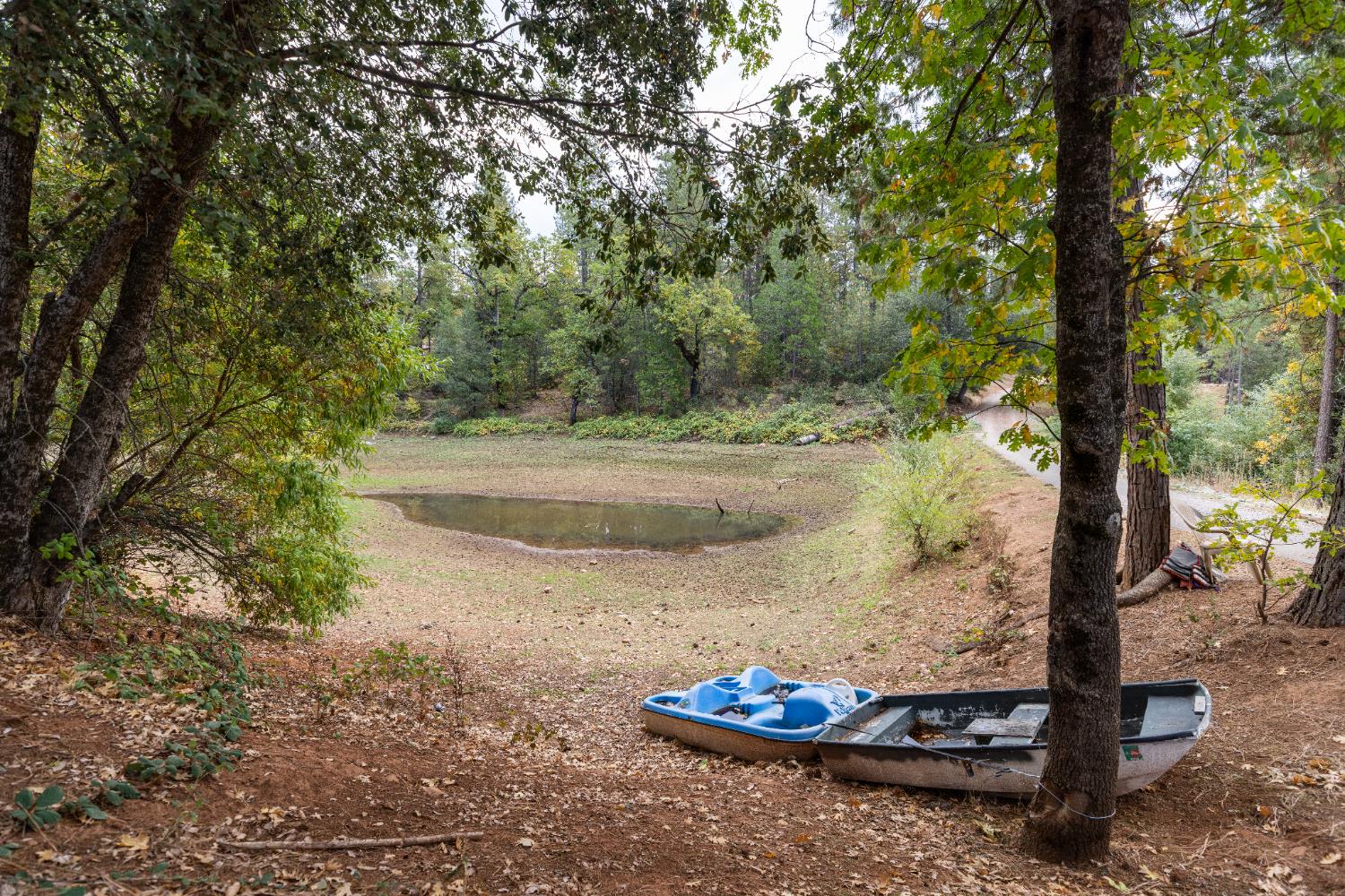 10070 Swiss Ranch Road Mountain Ranch, CA 95246 - Photo 43 of 64