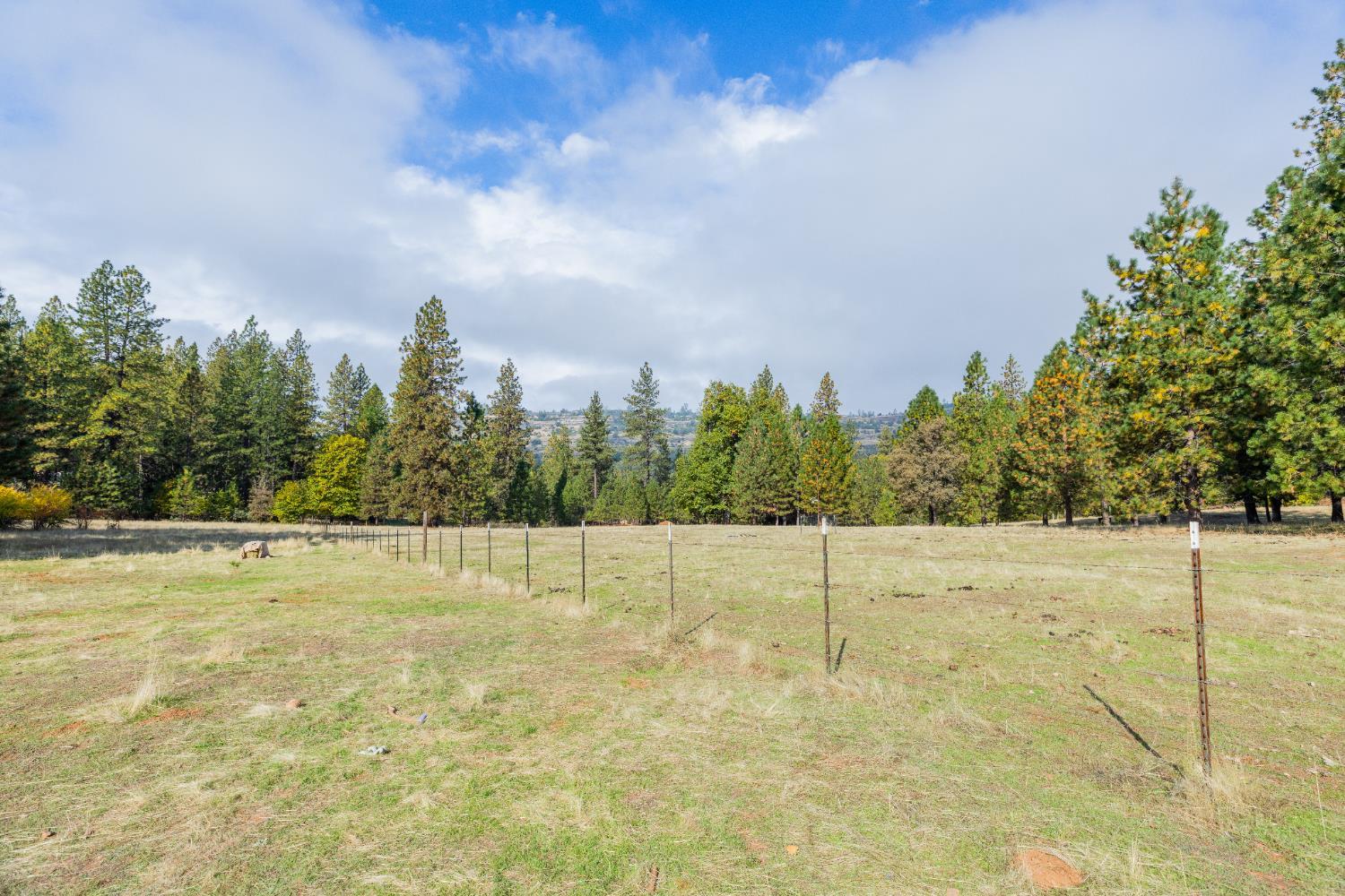 10070 Swiss Ranch Road Mountain Ranch, CA 95246 - Photo 45 of 64