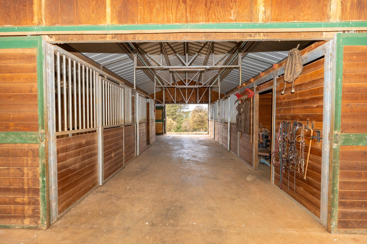 10070 Swiss Ranch Road Mountain Ranch, CA 95246 - Photo 50 of 64