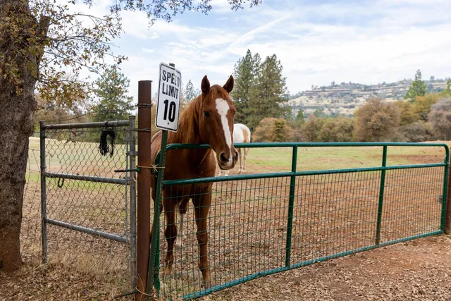 $950,000 | 10070 Swiss Ranch Road, Mountain Ranch, CA 95246