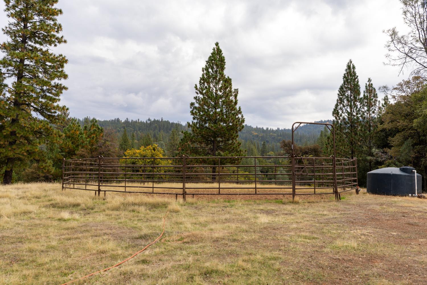 10070 Swiss Ranch Road Mountain Ranch, CA 95246 - Photo 54 of 64