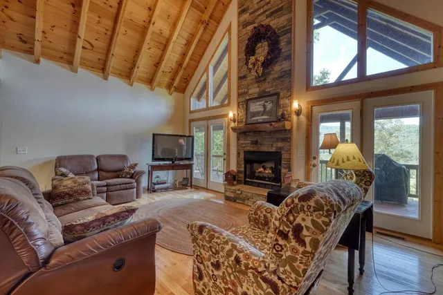 a view of a lush green forest with a mountain in the background