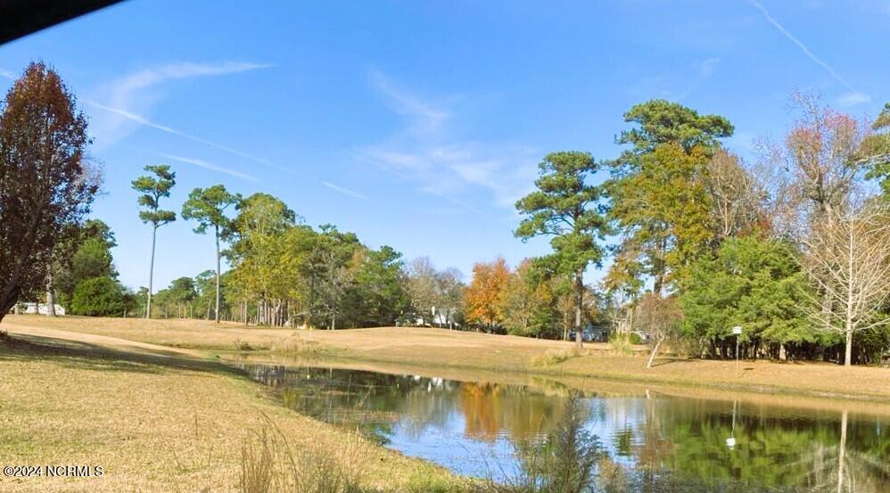 610 Sawgrass Road Hampstead, NC 28443 - Photo 11 of 11 Fairway that runs behind the lot.